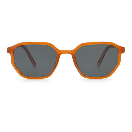 SUNGLASS Polarized 66516-c5