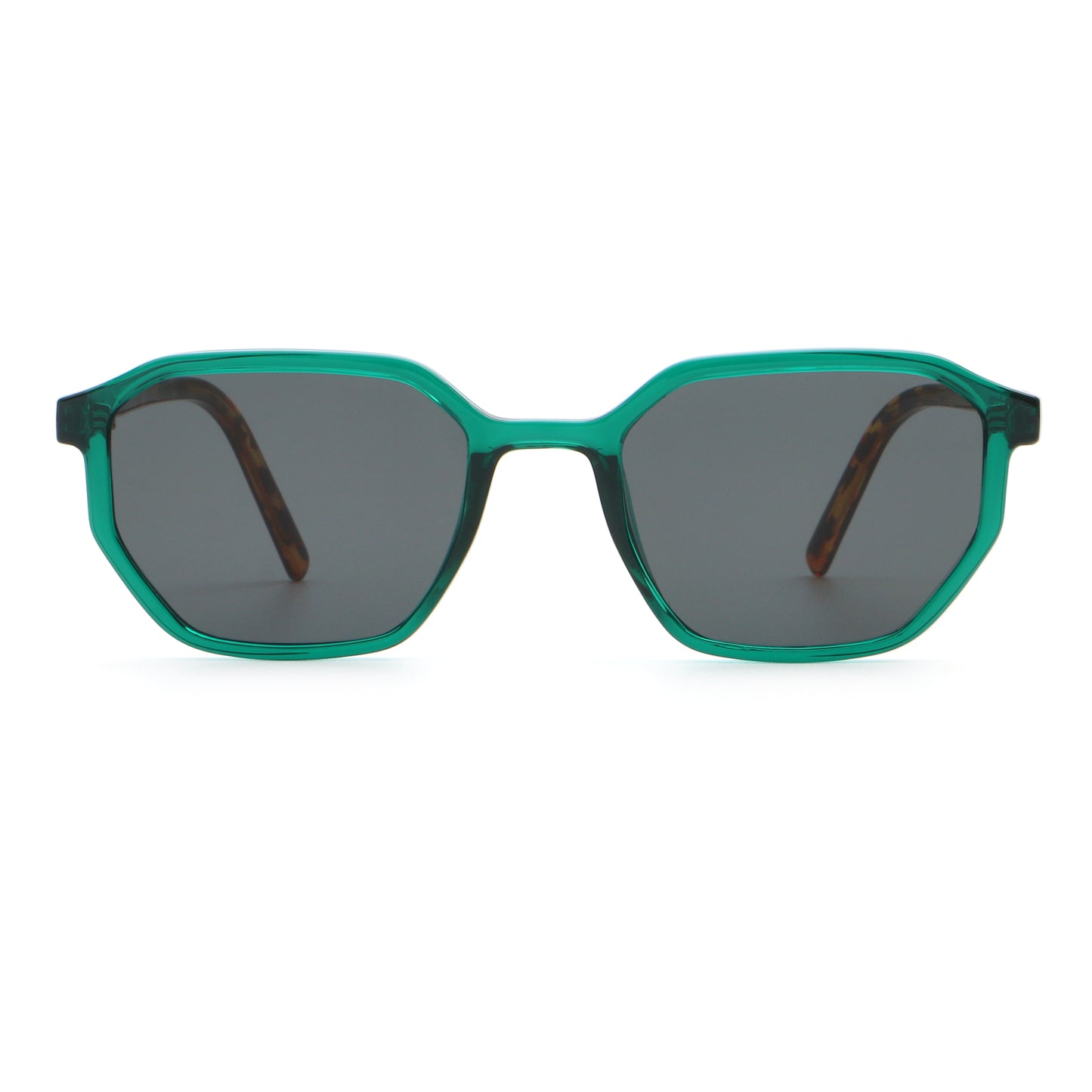 SUNGLASS Polarized 66516-c6