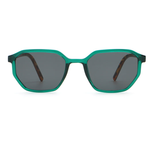 SUNGLASS Polarized 66516-c6