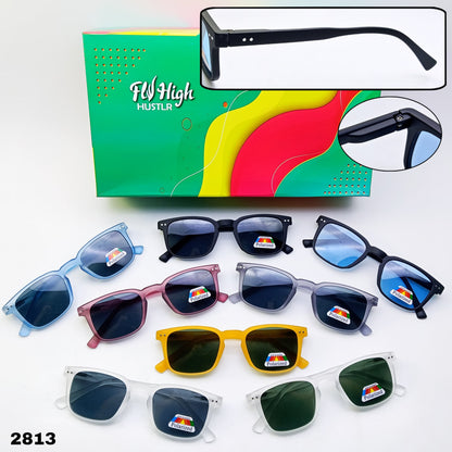 SUNGLASS FLY HIGH
